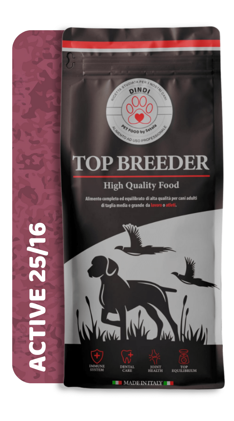 Active 25/16 DINDI pet food by setola